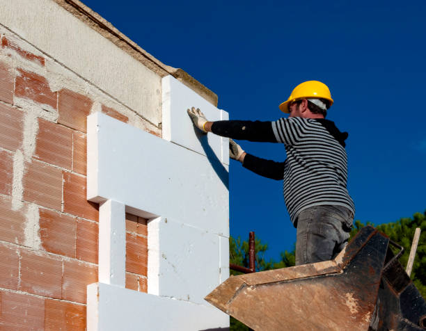 Best Fiberglass Insulation in Warm Mineral Springs, FL