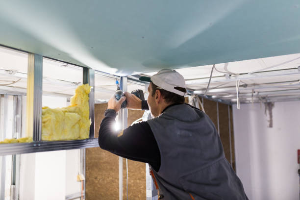 Types of Insulation We Offer in Warm Mineral Springs, FL