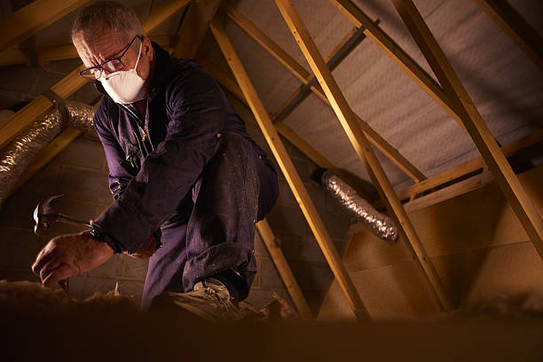 Best Spray Foam Insulation in Warm Mineral Springs, FL